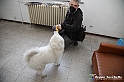 VBS_5422 - Presentazione Paratissima 2022